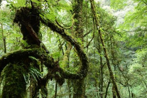 老寨村的故事,老寨冰岛地址