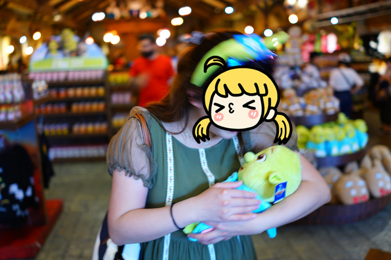 索尼Rx1r2六天五晚慢游新加坡——环球影城篇