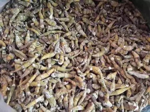 泰国旅游骗局真实案例,泰国旅游八大骗局警惕