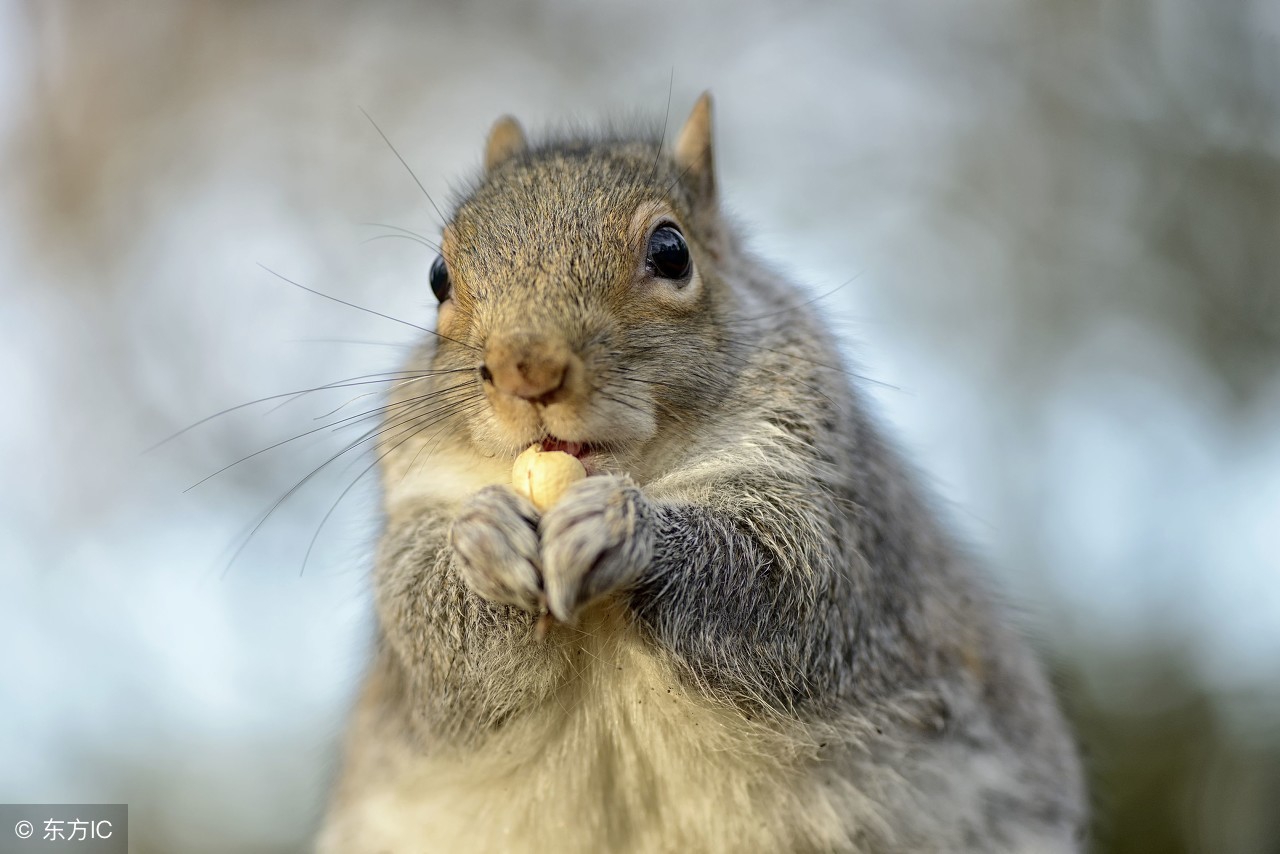 最流行的撩妹术语,女生必学100句撩汉