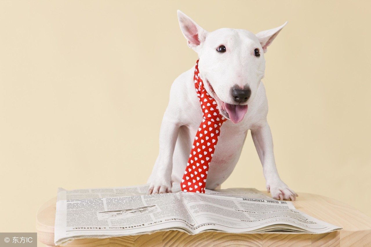 最流行的撩妹术语,女生必学100句撩汉