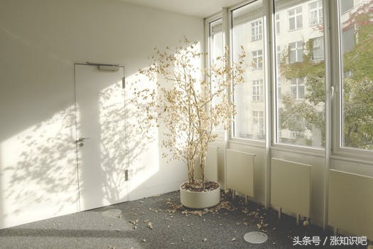 家具油漆味胶水味,装修家具油漆味道怎么清除