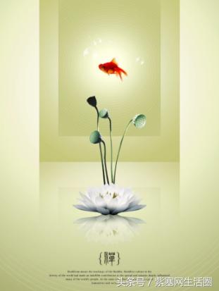 「紫塞」生活:承德菩提缘佛教养老公寓-佛教文化知识信仰好处！