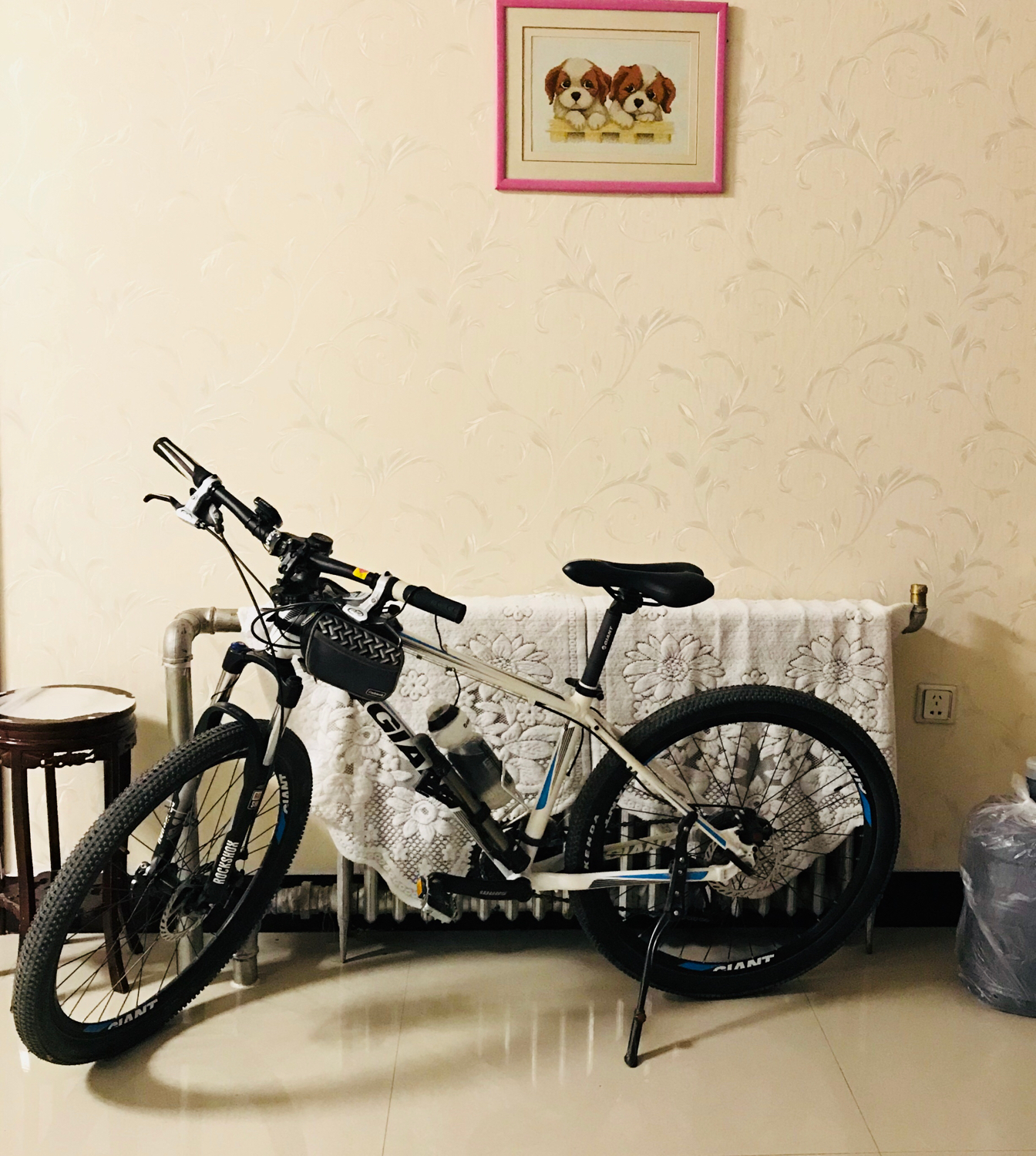 骑行小白入门公路车,纯新手骑行自行车