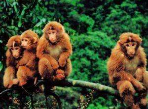 千秋功罪三杯酒,千秋功罪谁与评说含义