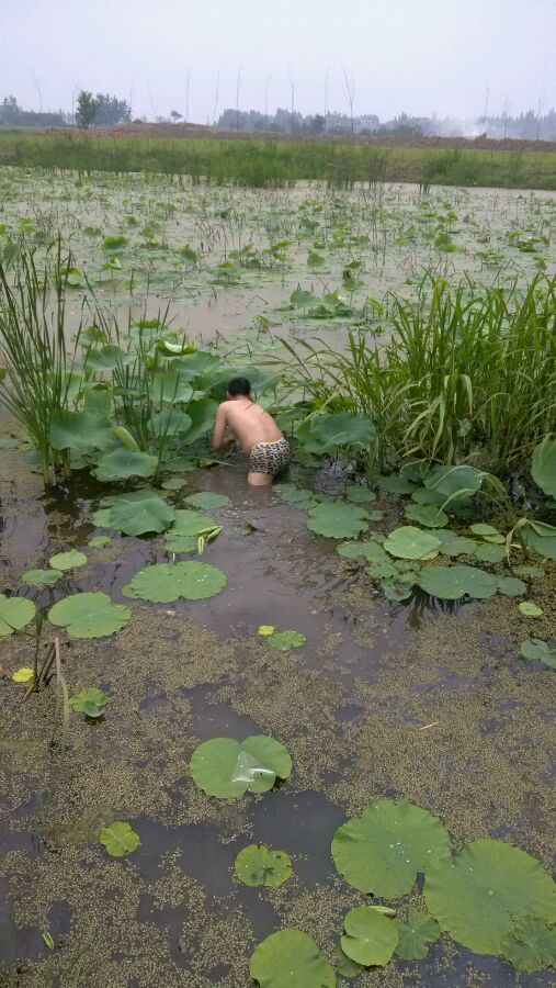 千秋功罪三杯酒,千秋功罪谁与评说含义