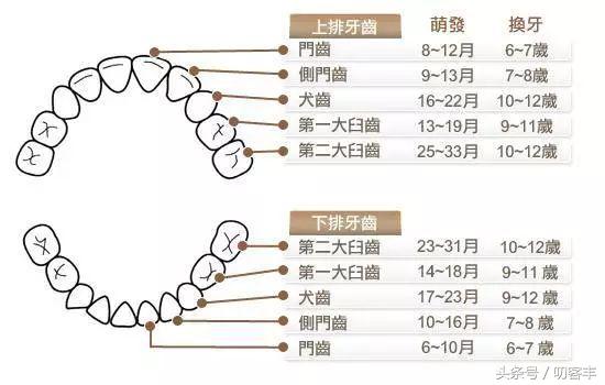 换牙时怎么用线拔牙,小孩换牙怎么用绳子拉掉