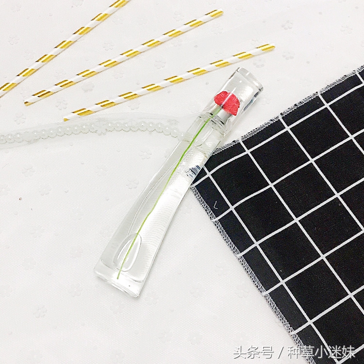 清新淡雅的女士香水香评,十大公认最好闻最持久的中性香水