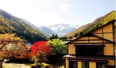 城里人往乡里跑,现在城里人都往农村跑啥意思