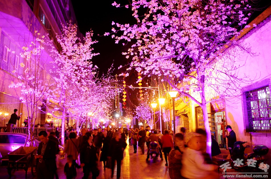 天水玉兰古巷全景图,天水玉兰古巷快闪视频