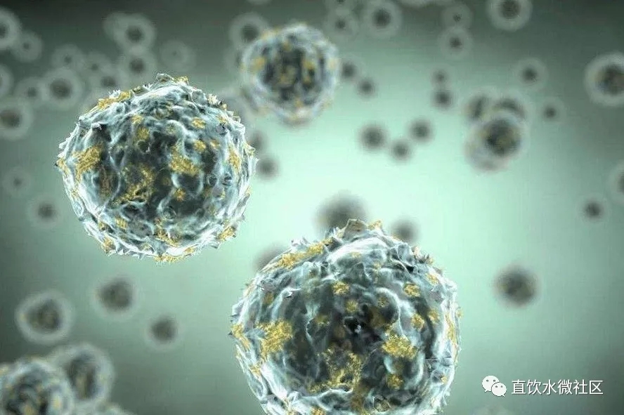 饮水机的水冷热可以一起喝吗,饮水机的水循环加热有危害吗