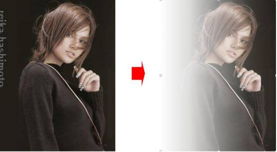 WPS演示文档技巧|演示操作基础教程，图片美化