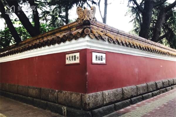 春天里发呆的季节,又是一个适合发呆的季节