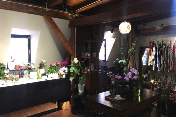 春天里发呆的季节,又是一个适合发呆的季节