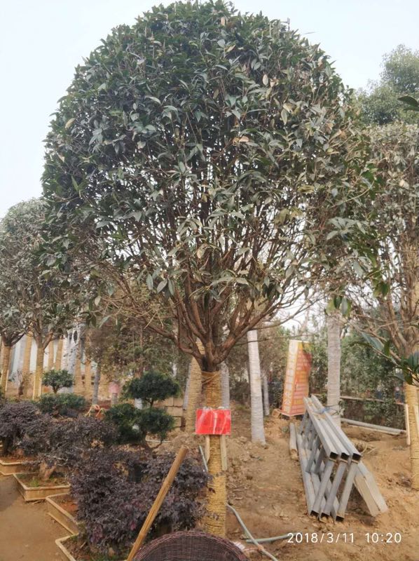 河南郑州小区物业与业主发生冲突,郑州物业被打视频