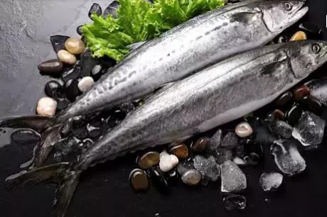 青岛彩色水饺,鲜从海上来海鲜盛宴