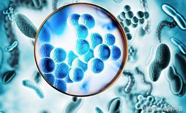 女人要注意哪些传染性疾病,得了这四种常见女性疾病不要慌