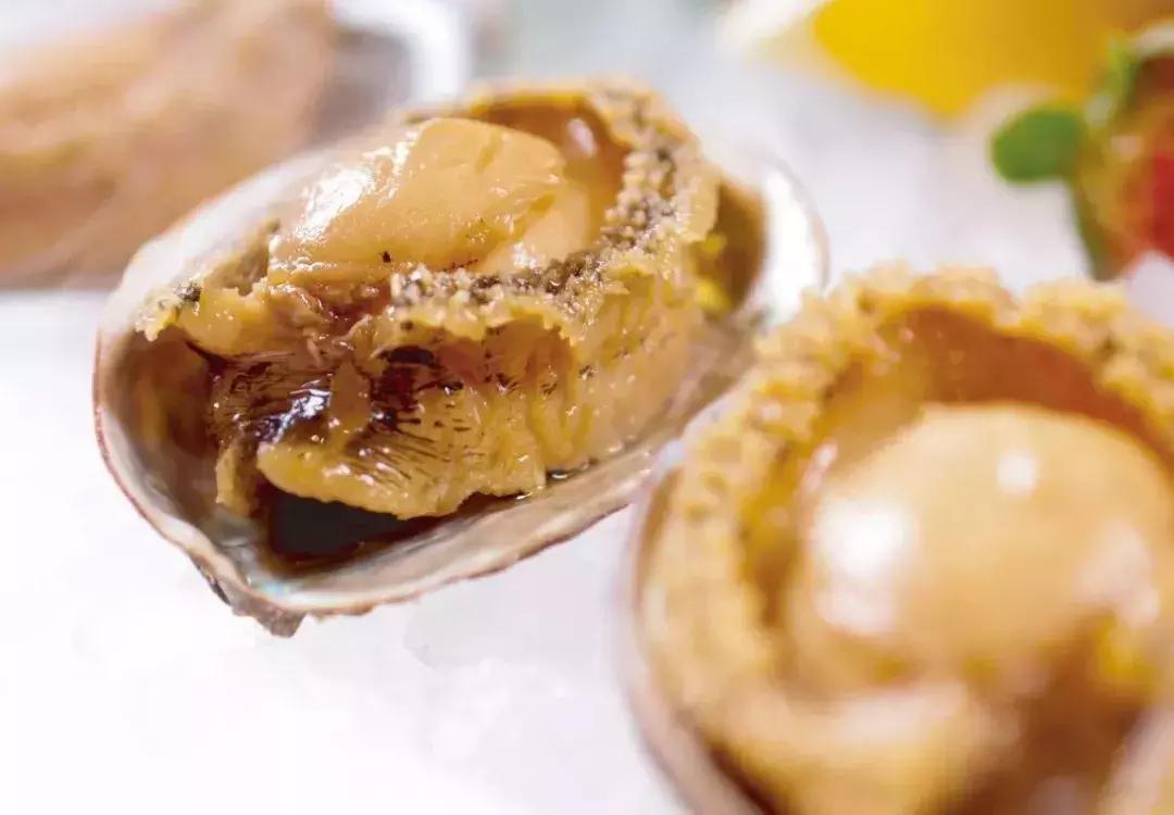 旅博会2024,旅博会2023