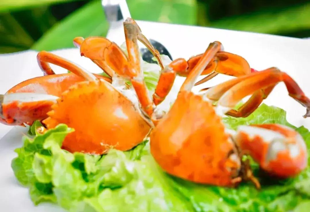 旅博会2024,旅博会2023