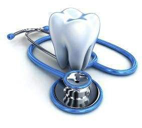 牙髓牙神经位置图,牙髓牙神经在哪里