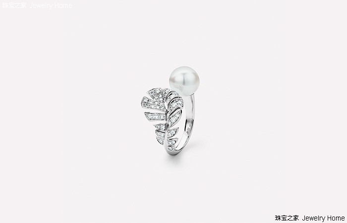 璧湰鐝嶇彔椤归摼鏁欑▼,璧湰姘旇川椤归摼