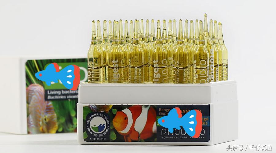观赏鱼如何培养硝化细菌,养宠物鱼有必要加硝化细菌吗