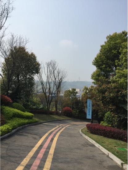 恒大麓山湖别墅看湖,恒大麓山湖叠墅一期