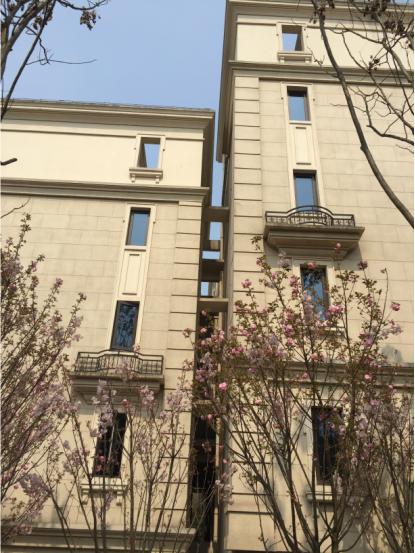 恒大麓山湖别墅看湖,恒大麓山湖叠墅一期