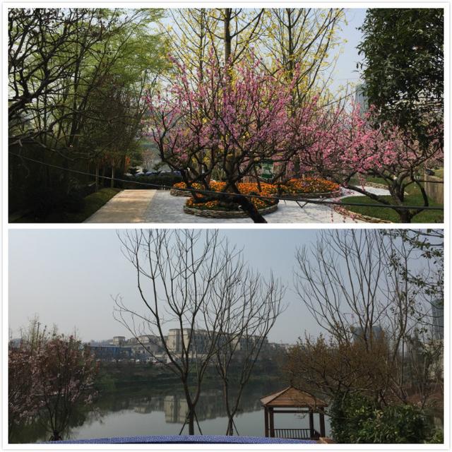 恒大麓山湖别墅看湖,恒大麓山湖叠墅一期