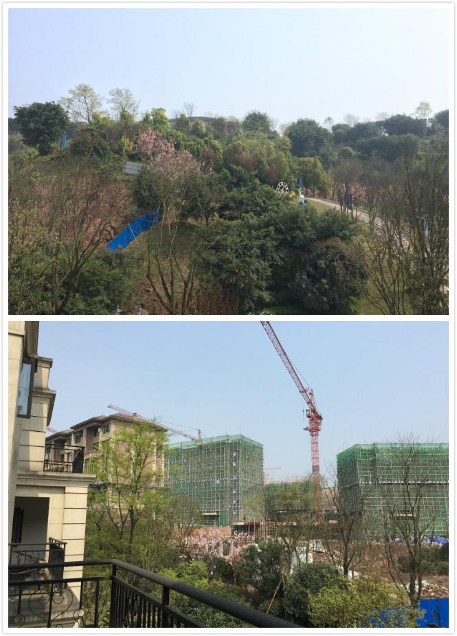 恒大麓山湖别墅看湖,恒大麓山湖叠墅一期