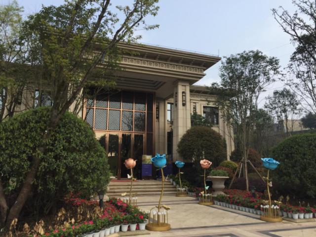 恒大麓山湖别墅看湖,恒大麓山湖叠墅一期