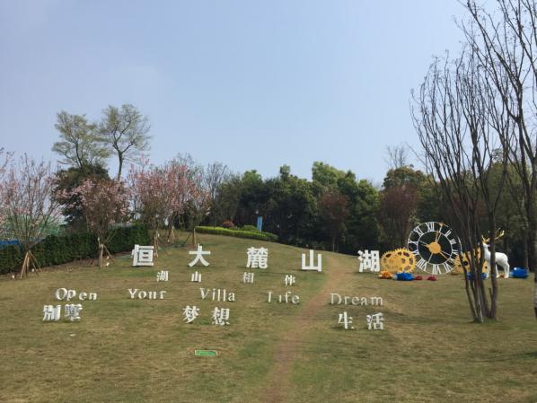 恒大麓山湖别墅看湖,恒大麓山湖叠墅一期