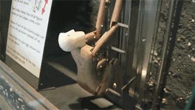 盘点各种游戏机的游戏和玩法,还能这样操作