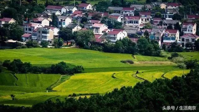 南京高淳区怎么样,南京高淳出的明星