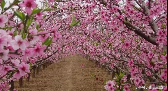 奖金留给你的时间已经不多了，抓紧吧！