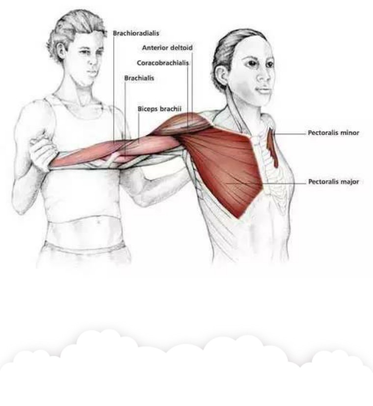 游得太僵硬，不妨给肩部上点润滑油吧！