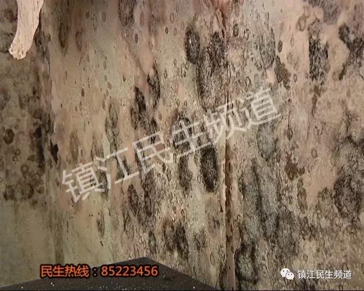 60多万在宝龙花园买的房子，记者进屋看了一眼差点吐了！