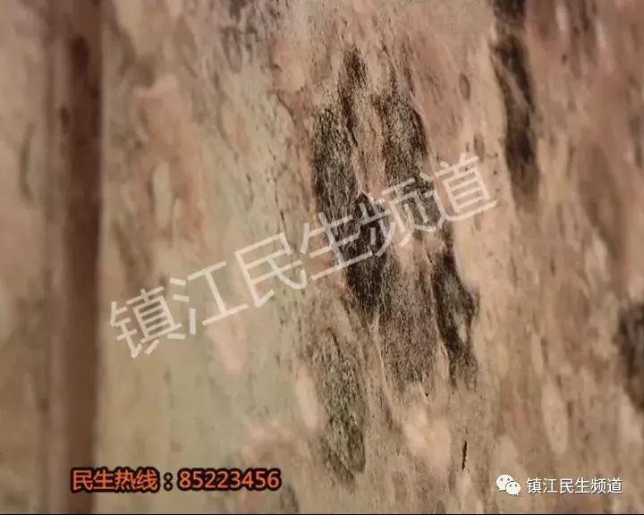 60多万在宝龙花园买的房子，记者进屋看了一眼差点吐了！