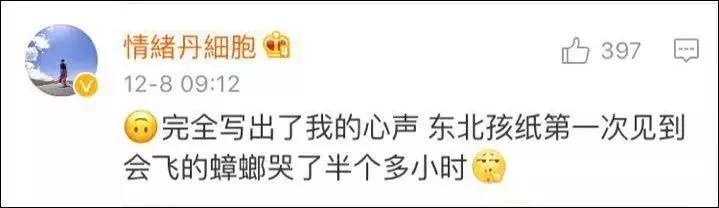 南方的“小强”，能把东北爷们活活吓哭！教你4招拿下它们