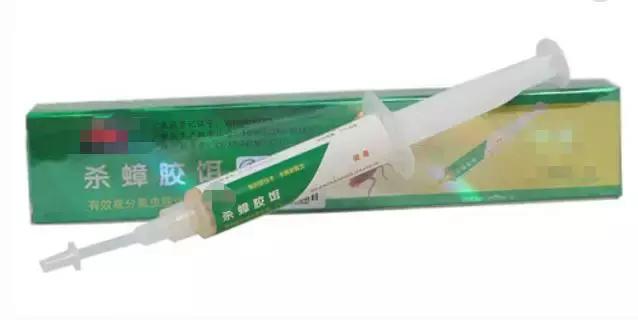 南方的“小强”，能把东北爷们活活吓哭！教你4招拿下它们