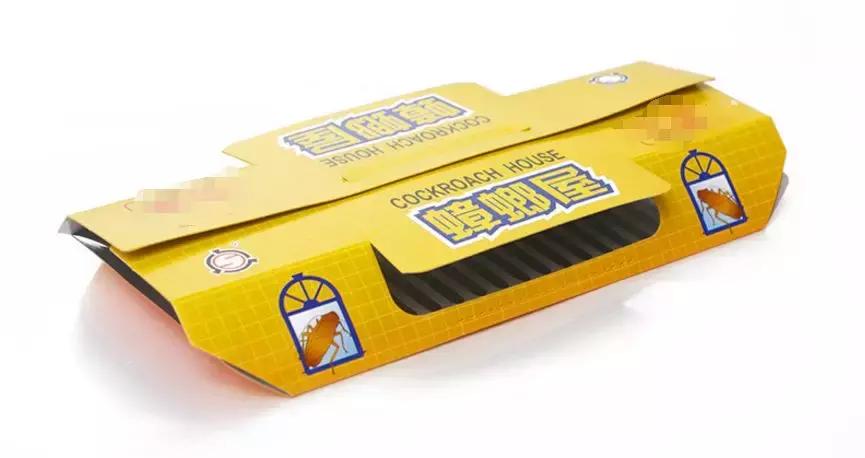 南方的“小强”，能把东北爷们活活吓哭！教你4招拿下它们