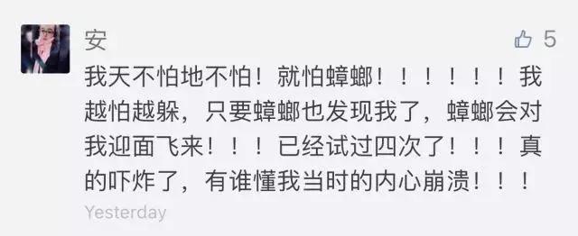南方的“小强”，能把东北爷们活活吓哭！教你4招拿下它们
