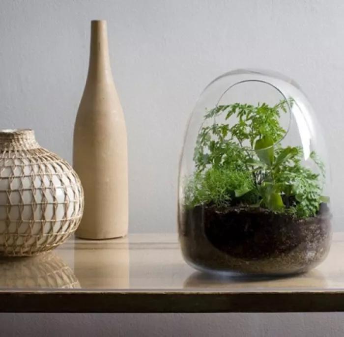 挚爱用来形容什么,挚爱还可以用什么表达