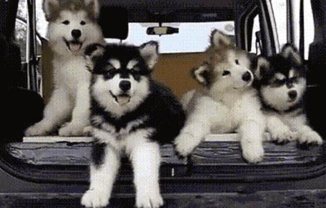 年龄增长朋友少了的句子,随着年龄增长身边的朋友越来越少