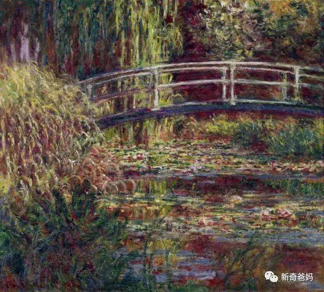 美学胎教03-《池塘.睡莲》