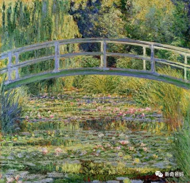 美学胎教03-《池塘.睡莲》