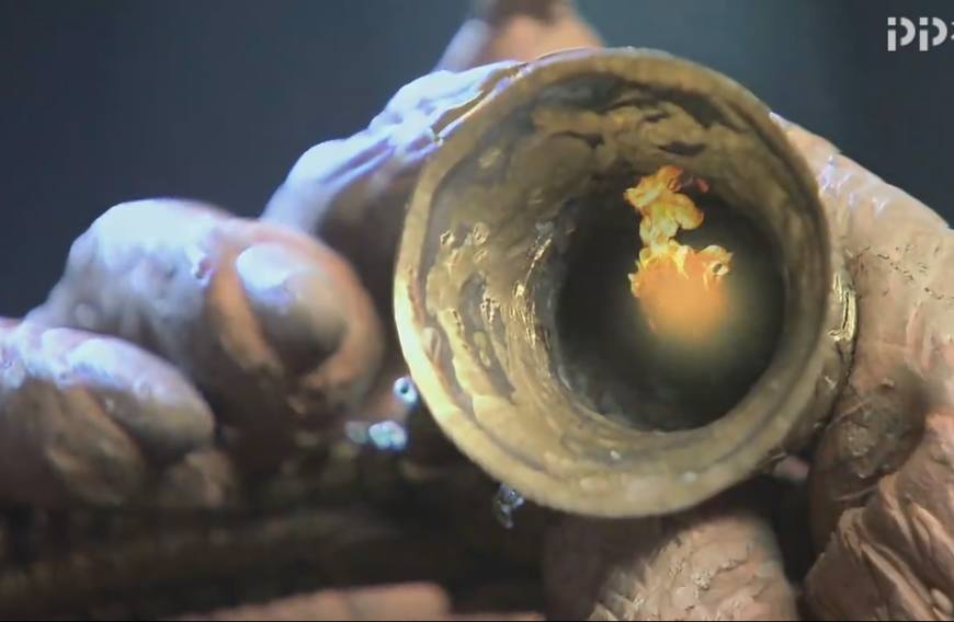 金毛犼抓走金圣娘娘,金毛犼为何掳走金圣宫