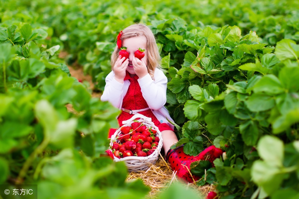北京周边人少赏花的地方,北京春季赏花好去处自驾游