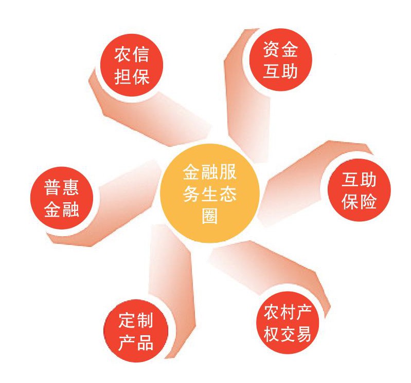 农业社会化服务如何运营,农合联的商业化运营模式