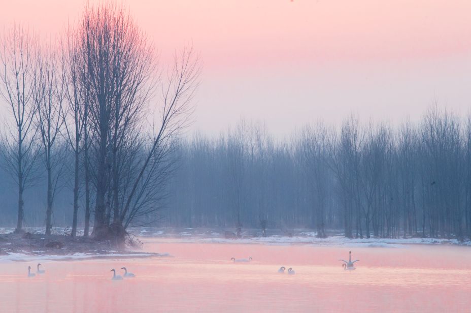 泼辣有图：有史以来质量最高的一期榜单